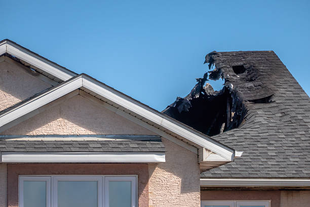 Licensed Board Up Services service in Valrico, FL - Fire Damage Laser Cleaning